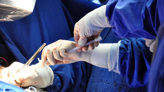 
                    Morre paciente que recebeu transplante de órgão com HIV em 2024
                