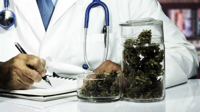 
                    Canabidiol mostra potencial para reverter danos do Alzheimer em estudo experimental
                