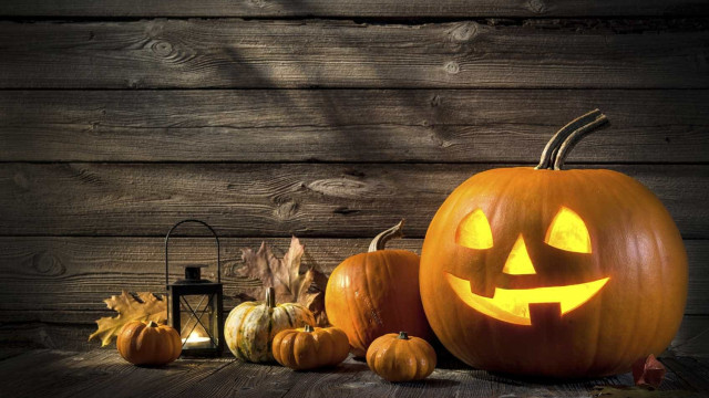 Conheça 8 lugares para aproveitar o Halloween