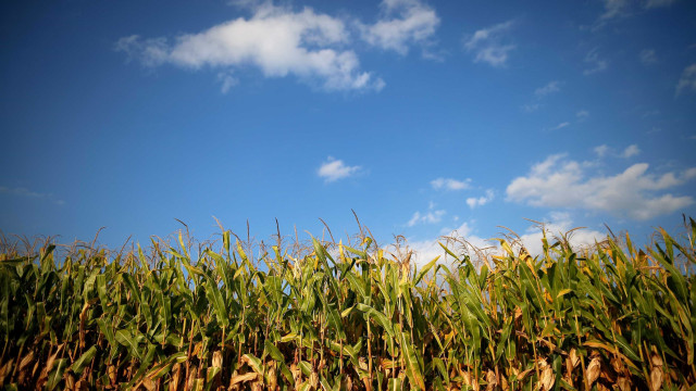 Governo busca apoio do agronegócio a texto da reforma tributária