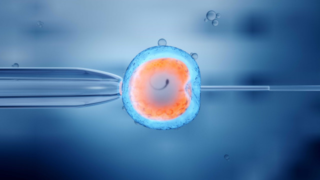 Implantar um embrião aumenta chances de gravidez, aponta estudo