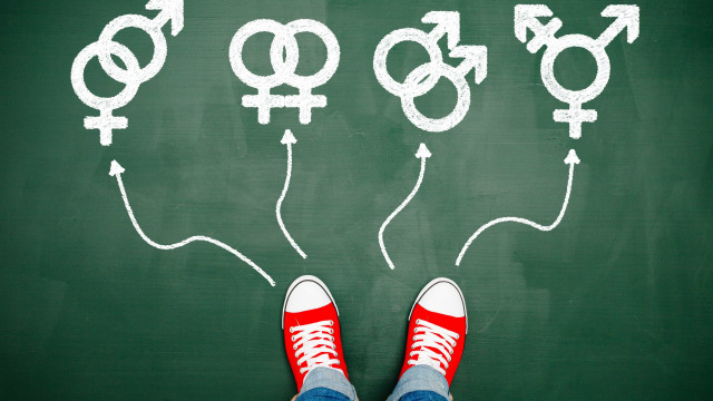 MEC tira "identidade de gênero" e
"orientação sexual" do currículo