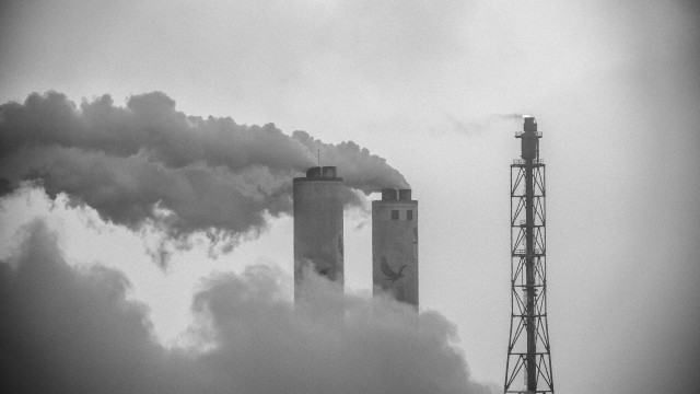 Aquecimento global de 1,5°C pode levar até 14% das espécies à extinção