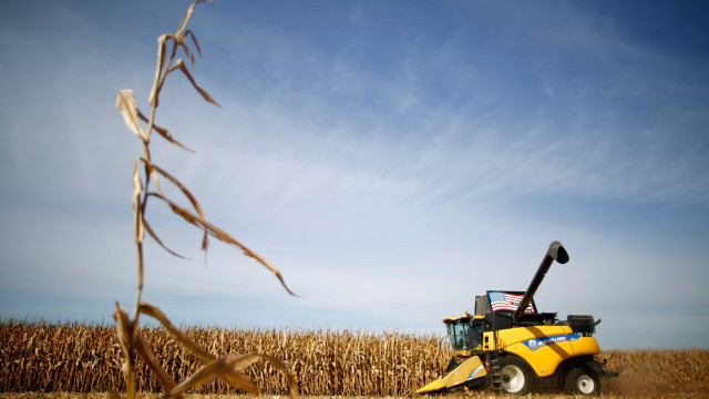 País é 'Top Five' em cerca de 30 produtos agrícolas