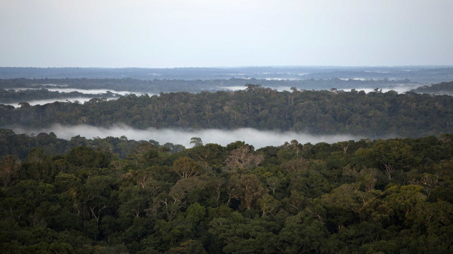 Católicos discordam da atuação de Bolsonaro na Amazônia