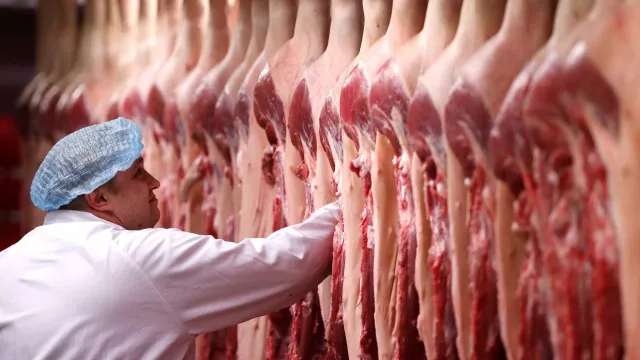 
                    UE enviará ao Brasil lista com pedido de informações adicionais sobre carnes exportadas
                