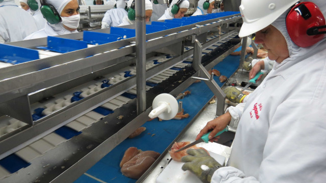 China suspende a importação de frango de dois frigoríficos brasileiros