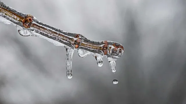 
                    Frio persiste com risco de geada no Sul e Sudeste
                