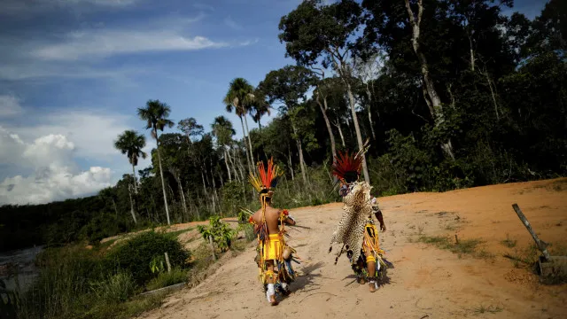 Fazendeiros usam agrotóxicos para expulsar aldeia indígena em Rondônia, diz MPF