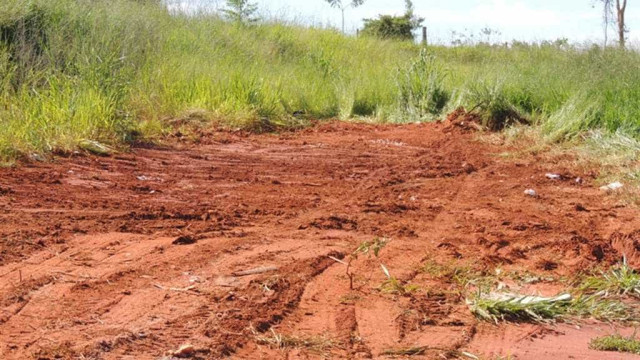 Senado aprova projeto que prevê regras para venda de terras a estrangeiros
