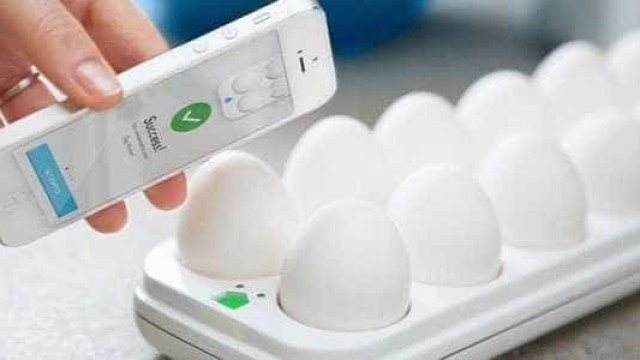 LG vende caixa de ovo high-tech com luzes de led; descubra a utilidade