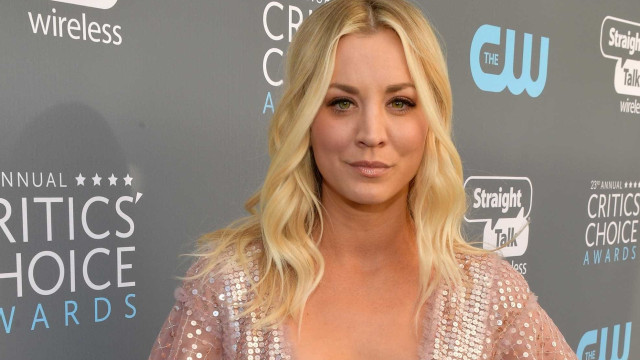 Atriz de 'Big Bang Theory' pede para comprar cavalo maltratado em Tóquio