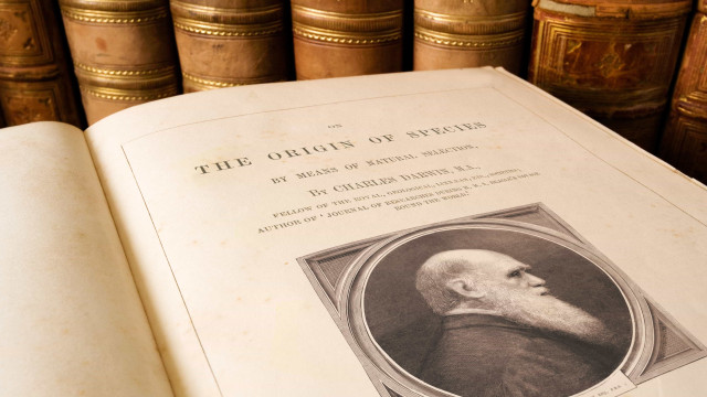 Saiba o que diz o manuscrito de Charles Darwin vendido por quase R$ 4,6 milhões