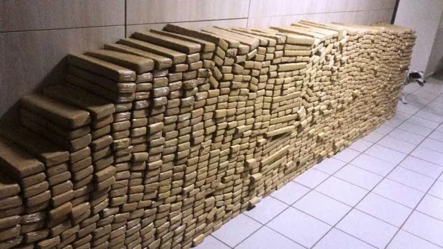 
                    PM apreende 48 toneladas de maconha em bunker no Complexo da Maré, no Rio
                