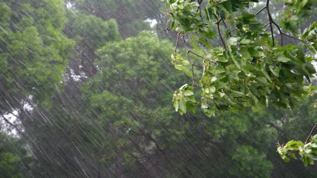 
                    El Niño é um dos causadores do vendaval, mas não o único fator, dizem meteorologistas
                