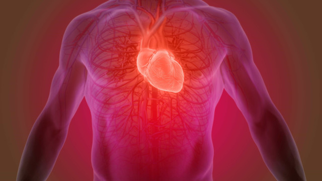 Conheça 10 exames que ajudam a prevenir doenças cardíacas
