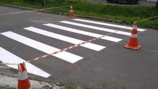 
                    Motorista fura sinal, atropela e mata pedestre na faixa na zona leste de São Paulo
                