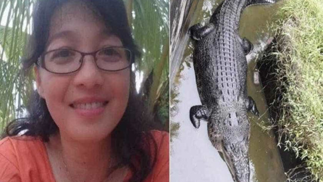 Crocodilo de cinco metros devora cientista que tentava alimentá-lo