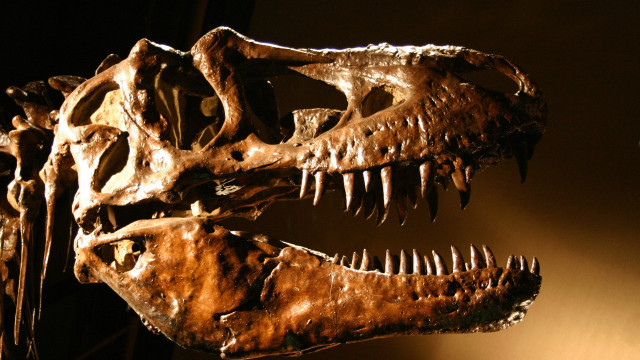 Objeto que extinguiu dinossauros chegou na primavera, revela estudo