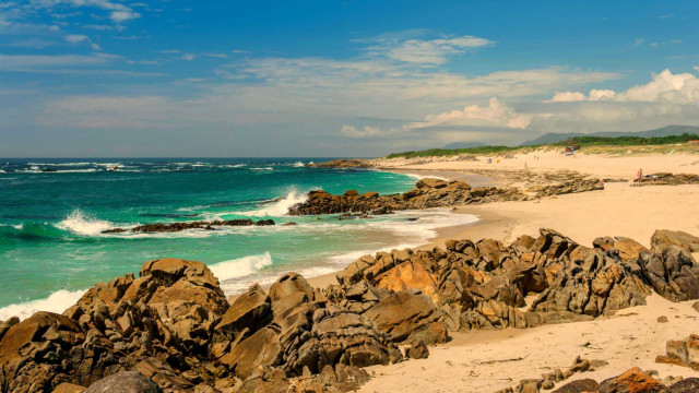 Áreas naturais protegem costa e evitam o colapso da economia litorânea