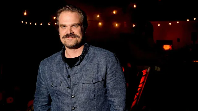 
                    David Harbour, de Stranger Things, admite crise de saúde mental
                