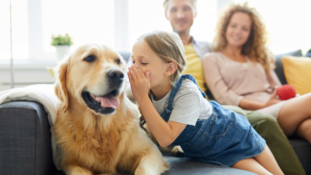 Afinal, porque é que os cães viram a cabeça quando ouvem os humanos?