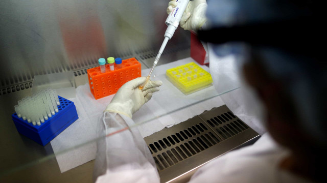 Cientistas identificam como o novo coronavírus invade células humanas