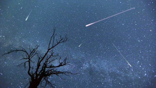 Astronomia: julho terá chuva de meteoros e Lua dos Cervos