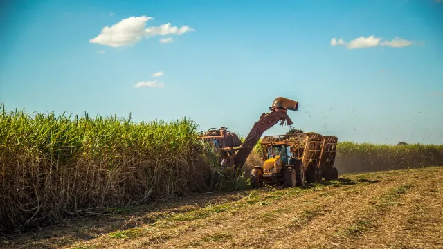 
                    Nordeste deve liderar crescimento econômico do Brasil em 2026
                