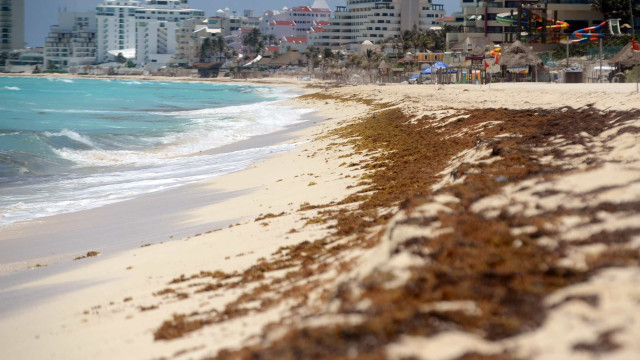 Cancun vai oferecer estadias gratuitas para atrair turistas