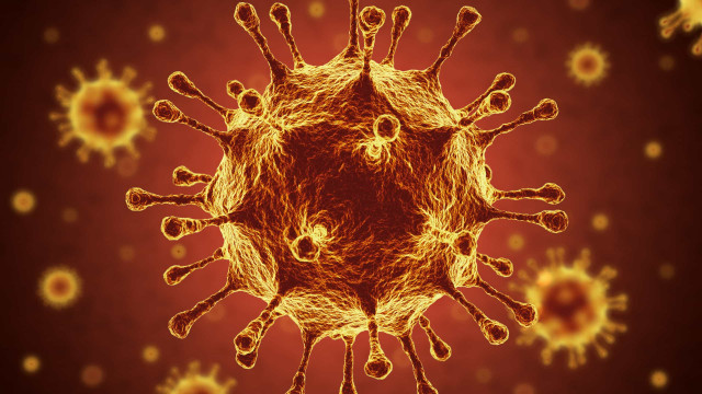 Mais variantes do coronavírus surgirão e países devem seguir com sequenciamento