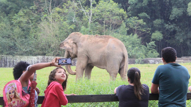 Gestão Doria leiloa concessão de Zoológico e Jardim Botânico por R$ 111 milhões