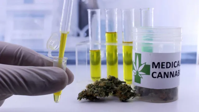 
                    Mulheres de 45 a 64 anos lideram mercado de cannabis medicinal no país
                