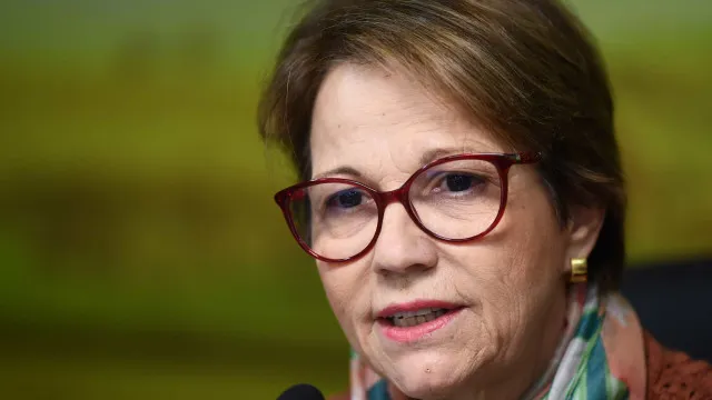 A senadora Tereza Cristina (PP-MS) afirmou, nes