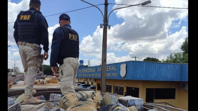 PRF faz apreensão recorde de maconha em Mato Grosso do Sul