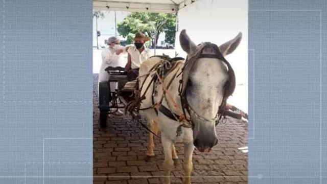 Idoso surpreende ao chegar a drive-thru de vacinação em carroça