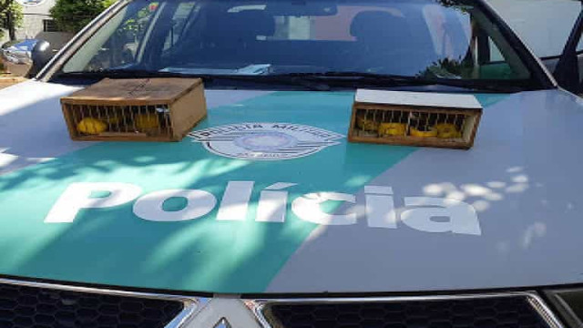 Homem toma multa de R$ 14 mil por transportar aves silvestres