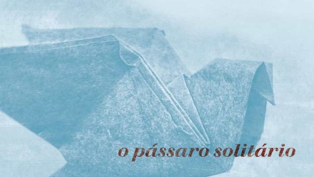 Livro traz reflexões sobre isolamento e esperança