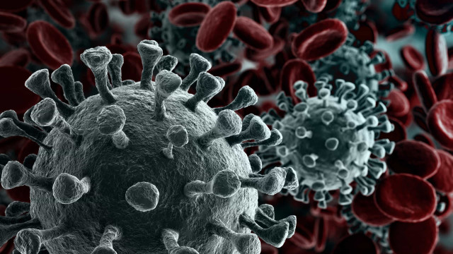 Brasil registra 2ª morte causada pela variante Delta do novo coronavírus