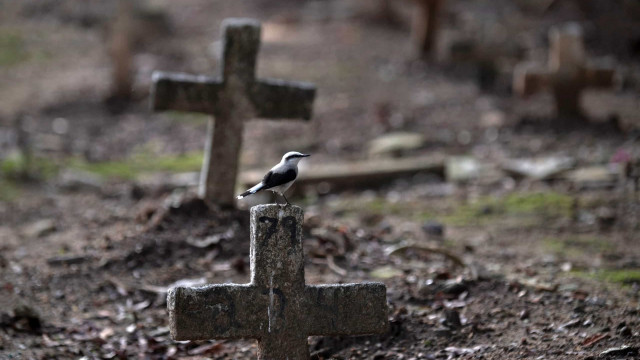Estado do Rio registra 328 mortes e 5.316 novos casos de covid-19 em 24 horas
