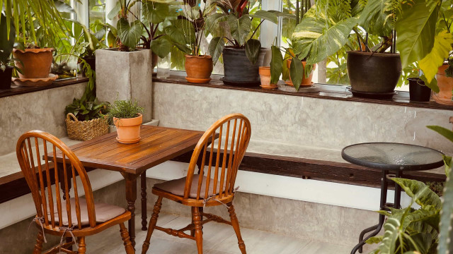 Aprenda a fazer um inseticida natural para usar nas plantas da sua casa
