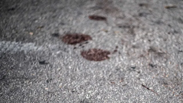 
                    Adolescente de 17 anos é morta a tiros após recusar investidas de homem no interior do CE
                