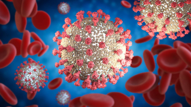 Infecção por coronavírus causa alterações graves nas células sanguíneas