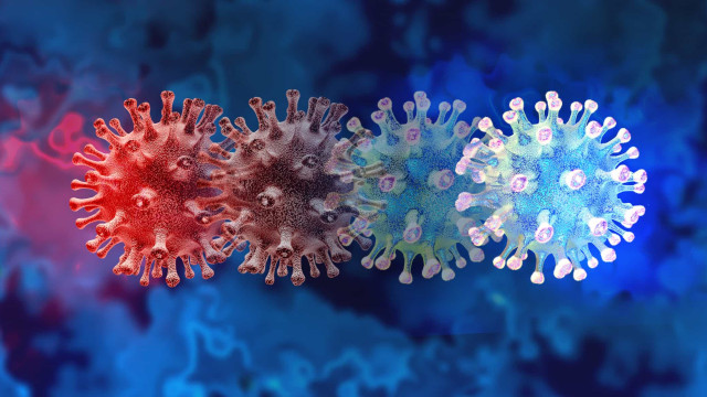 OMS: com casos da Ômicron subindo, novas variantes do coronavírus devem surgir