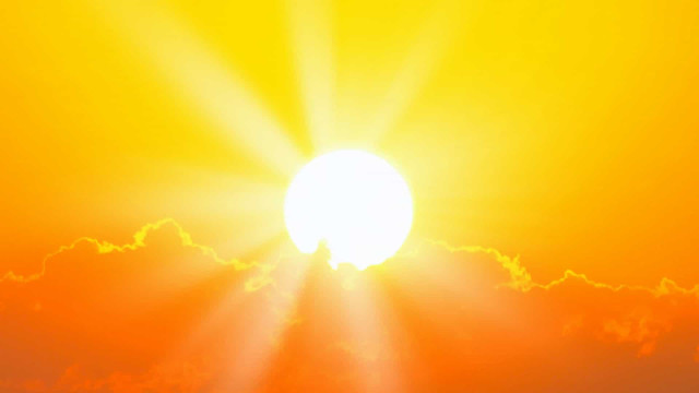 Vitamina D: efeitos da falta e do excesso de Sol para a saúde
