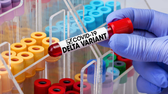 Variante Delta tem carga viral 300 vezes superior à do vírus original