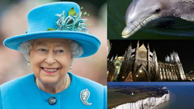 Dona até de caixa eletrônico: coisas incríveis que só a Rainha tem!