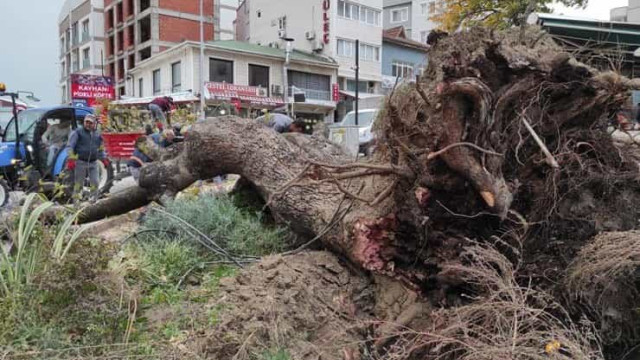 Ventos fortes matam quatro pessoas em Istambul