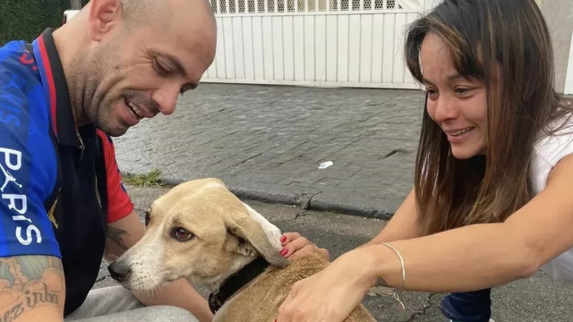 Cadela Pandora é localizada 45 dias após sumir em aeroporto de SP