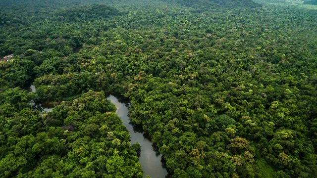 
                    Amazônia e cerrado têm menor desmatamento já registrado
                